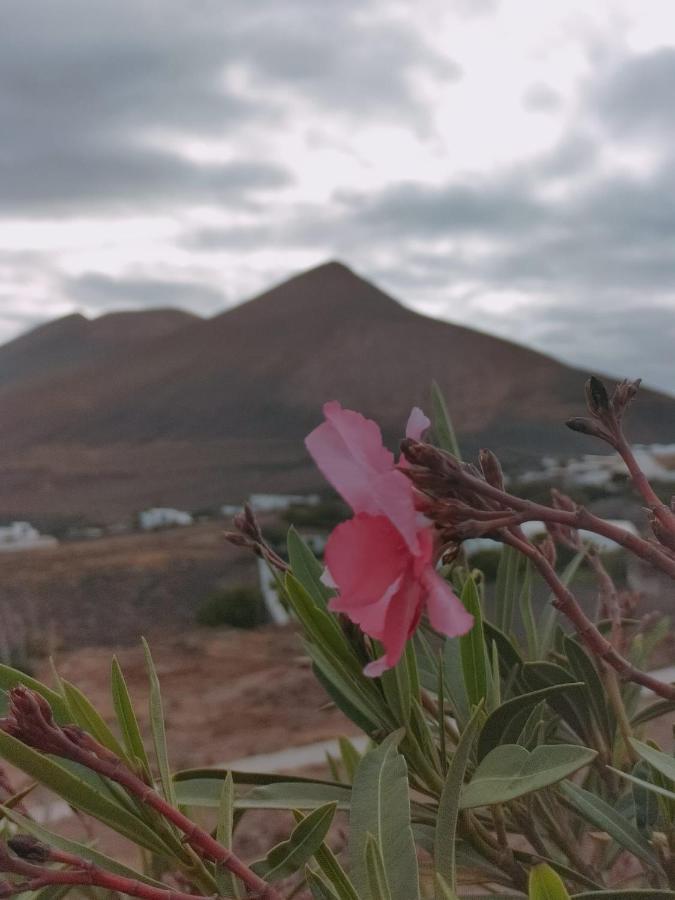 La Morreta Suites I - Lanzarote Conil Exteriér fotografie